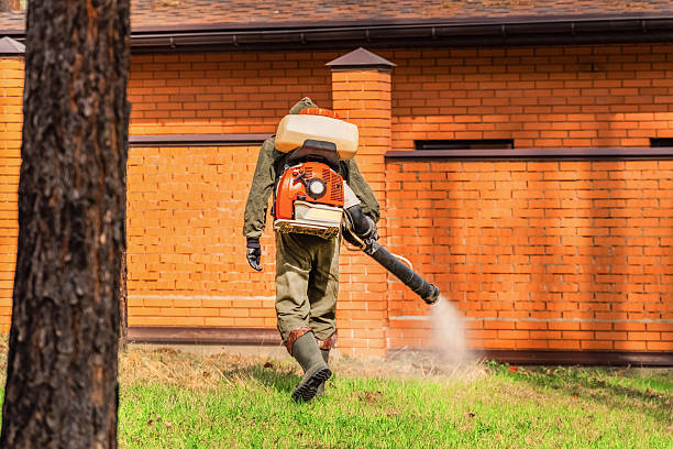 Top rated local Ant Control specialists in Clinton, OH